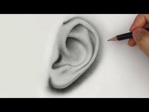 Pencil Drawing Tutorials