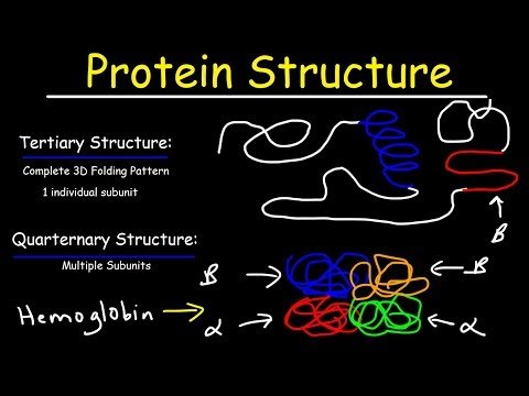 Biochemistry