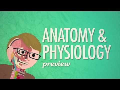 Anatomy Physiology