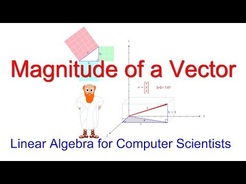 Linear Algebra for Computer Scientists