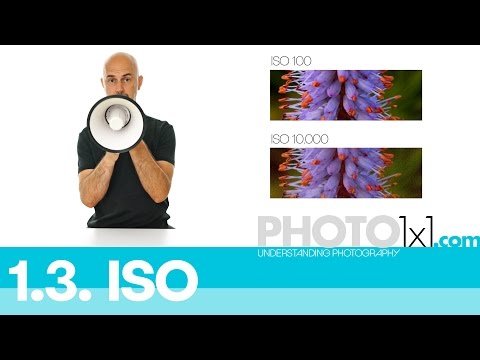 ISO in Photography